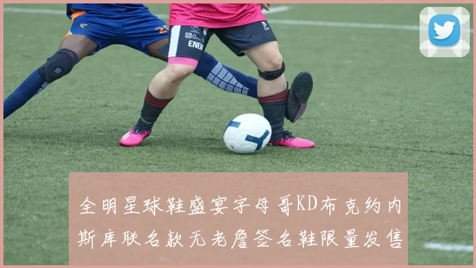 全明星球鞋盛宴字母哥KD布克约内斯库联名款无老詹签名鞋限量发售