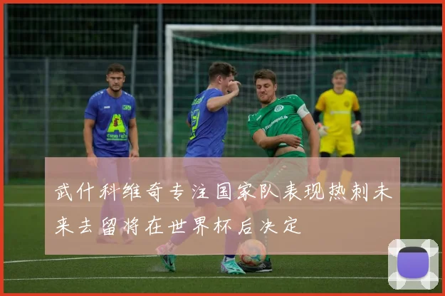 武什科维奇专注国家队表现热刺未来去留将在世界杯后决定